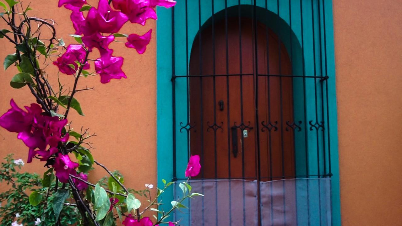 Casa Frida B&B Oaxaca Ngoại thất bức ảnh