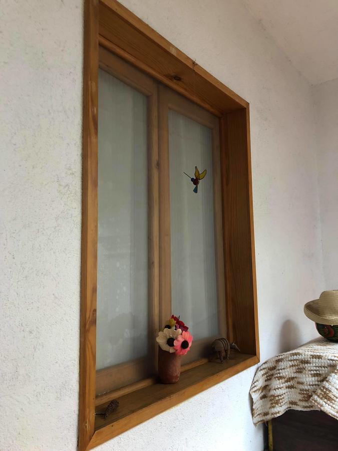 Casa Frida B&B Oaxaca Ngoại thất bức ảnh