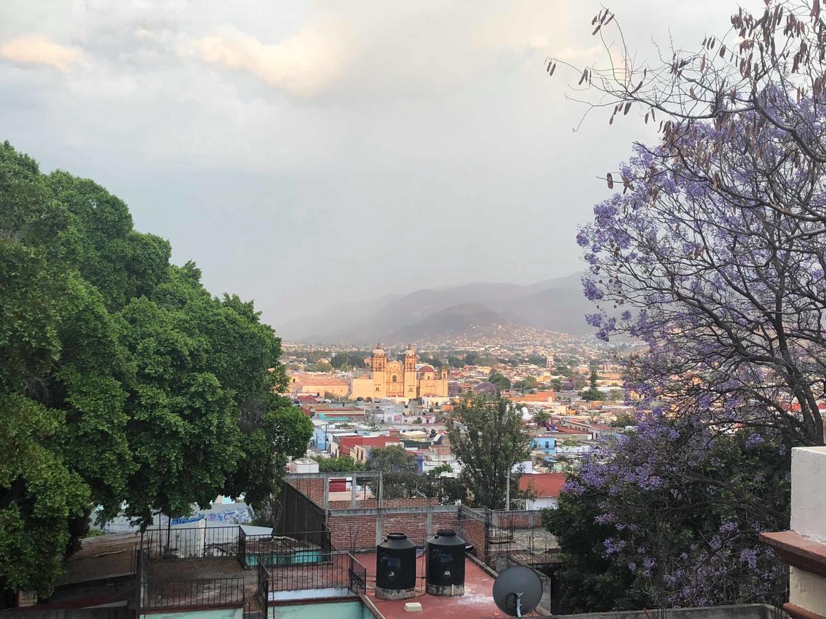 Casa Frida B&B Oaxaca Ngoại thất bức ảnh