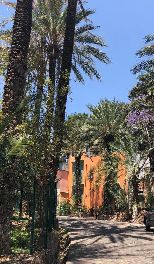 Casa Frida B&B Oaxaca Ngoại thất bức ảnh